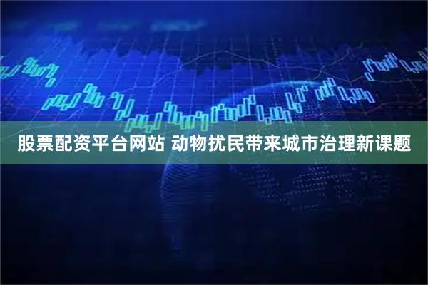 股票配资平台网站 动物扰民带来城市治理新课题